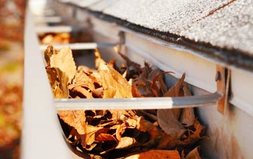 Weston Sub Edge gutter cleaning companies