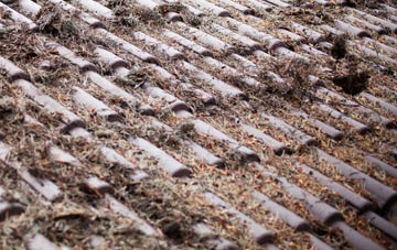 Weston Sub Edge roof cleaning companies