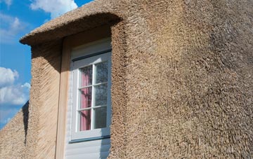 Weston Sub Edge thatch roof disadvantages