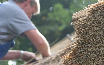 professional Weston Sub Edge thatchers