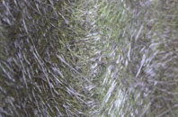 Weston Sub Edge fibreglass roof work